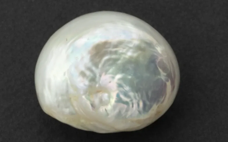 Burma Moti (Burmese Pearl)