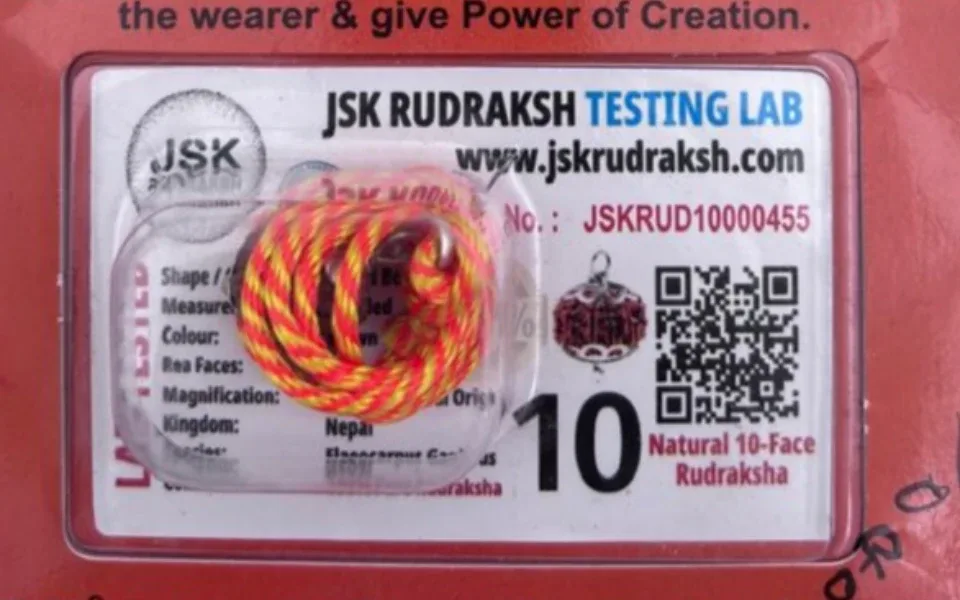 10 Mukhi Rudraksha