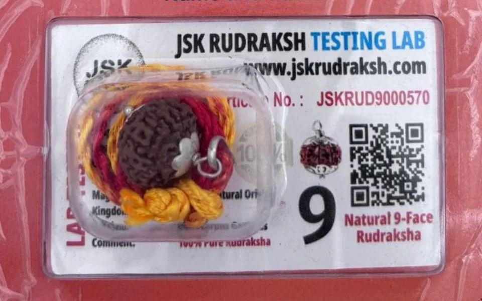 9 Mukhi Rudraksha