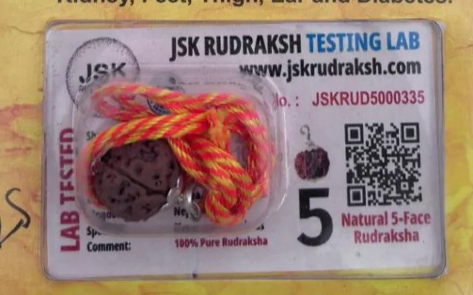 5 Mukhi Rudraksha