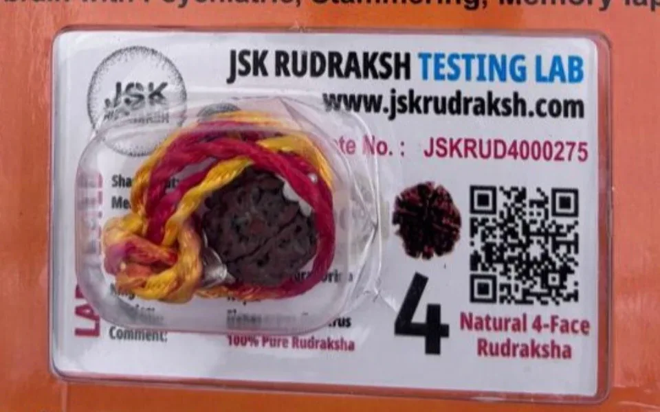 4 Mukhi Rudraksha