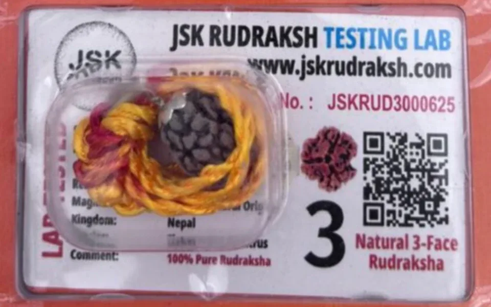3 Mukhi Rudraksha
