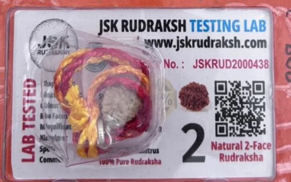 2 Mukhi Rudraksha