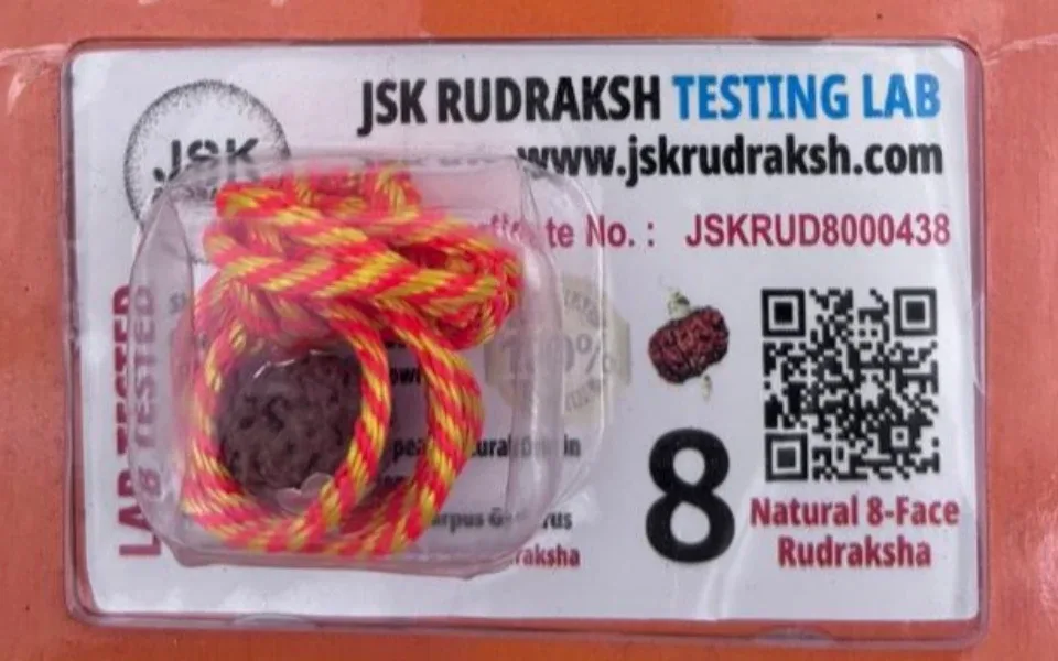 8 Mukhi Rudraksha