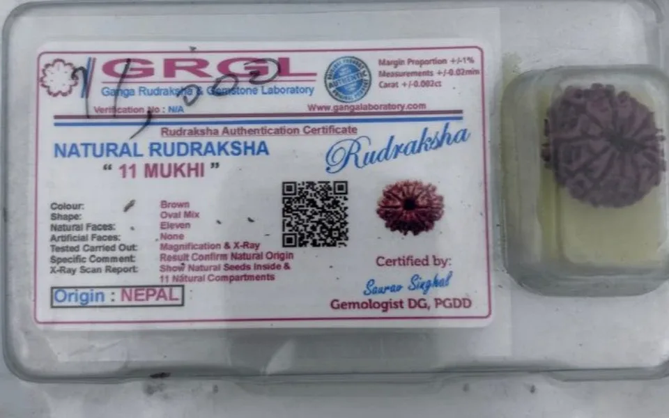 11 Mukhi Rudraksha