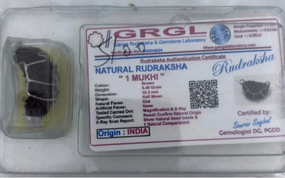 1 Mukhi Rudraksha