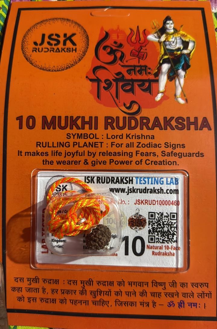 10 Mukhi Nepali Rudraksha