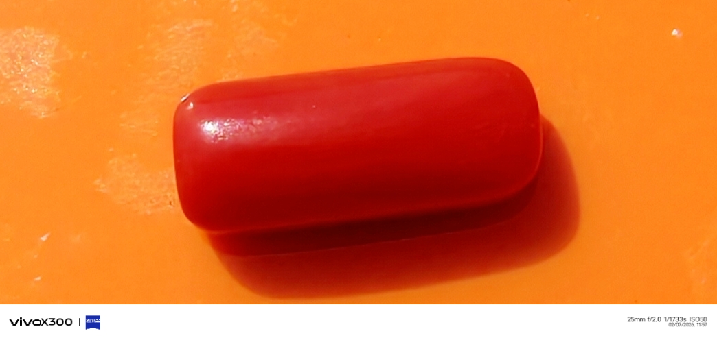 Red Coral (Moonga Stone)